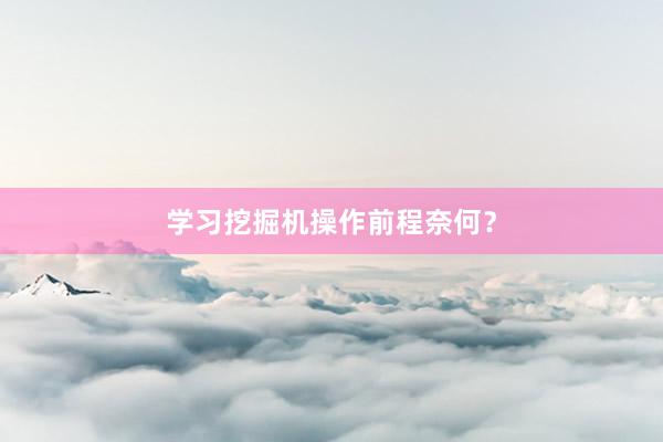 学习挖掘机操作前程奈何？